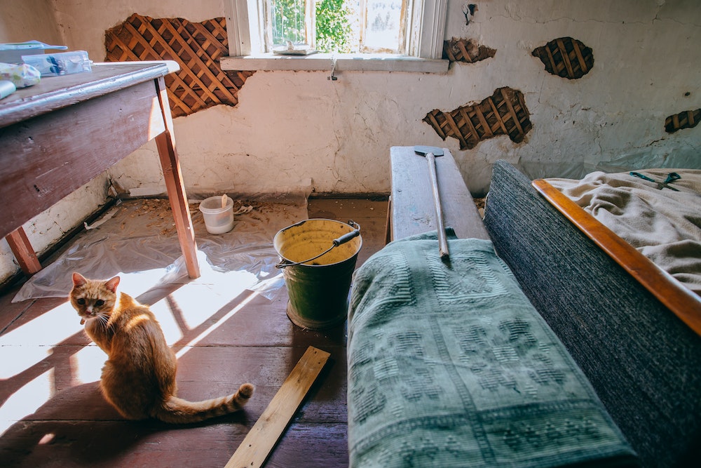 Rénover un logement écologique : matériaux durables et respectueux de l'environnement