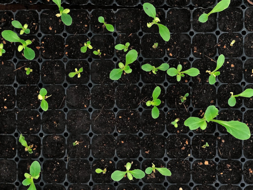 L'évolution des espaces de co-living : entre innovation et adaptation
